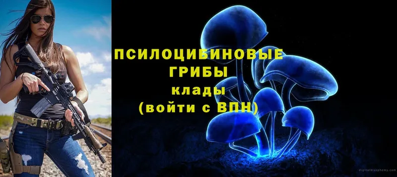 Псилоцибиновые грибы Magic Shrooms  это клад  Асино 